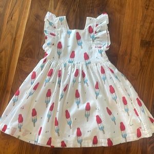 Pink Chicken Elsie Dress Rocket Pop
